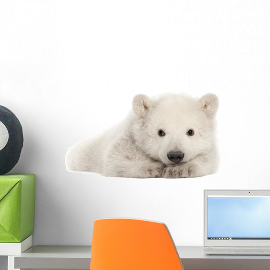 Polar Bear Cub Resting on Front Paws Wall Decal