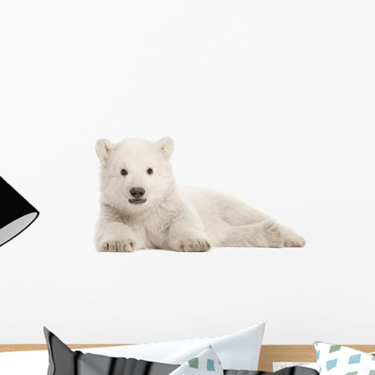 Polar Bear Club with Paws Forward