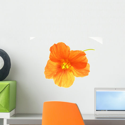 Orange Flower Wall Decal
