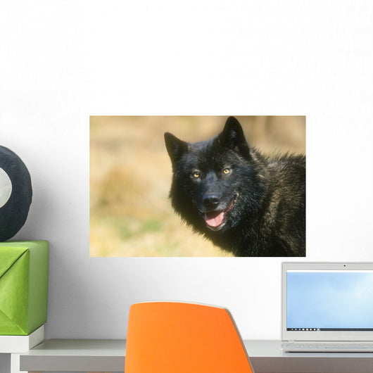 Wolf Wall Decal