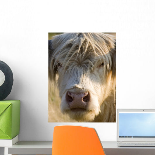 Ochse Ii Wall Decal
