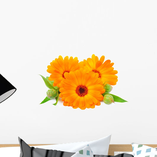 Calendula Flower Wall Decal