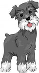Miniature Schnauzer Wall Decal