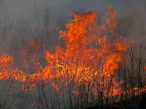 Flame 12 Wall Decal