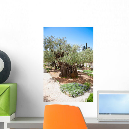 Garden Gethsemane Jerusalem Israel Wall Decal