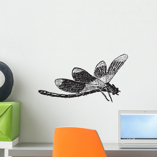 Dragonfly, vintage engraving Wall Decal