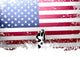 Wrestling Wall Decal