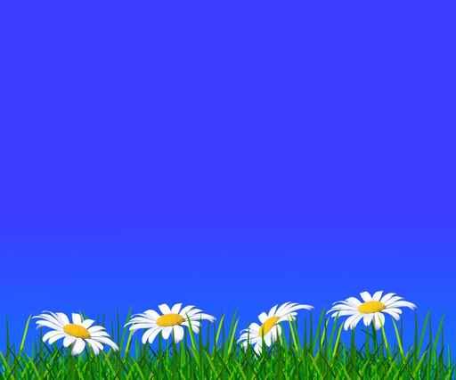 Blumenwiese Wall Decal