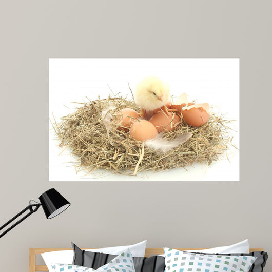 Baby Chick and Eggs Nest 2 Wall Decal