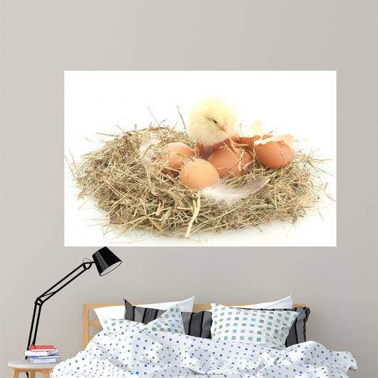 Baby Chick and Eggs Nest 2 Wall Decal