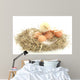 Baby Chick and Eggs Nest 2 Wall Decal