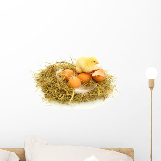 Baby Chick and Eggs Nest 1 Wall Decal