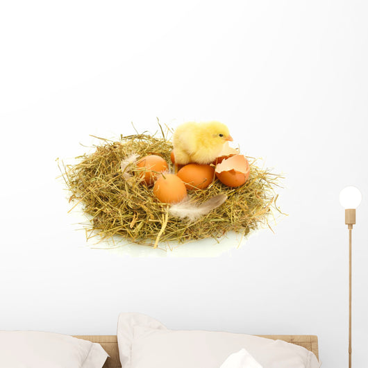 Baby Chick and Eggs Nest 1 Wall Decal