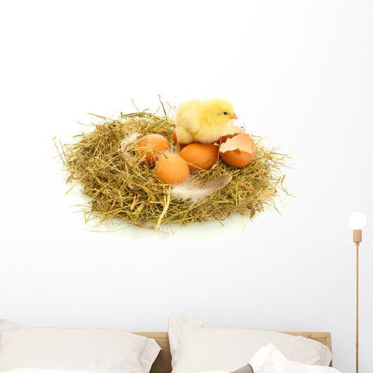Baby Chick and Eggs Nest 1 Wall Decal