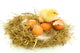 Baby Chick and Eggs Nest 1 Wall Decal