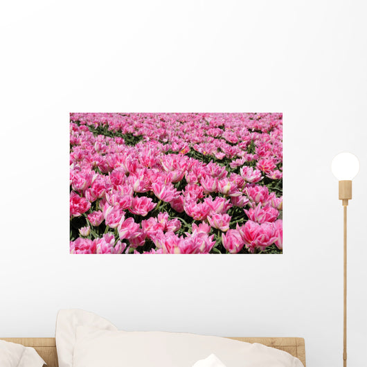 Pink Tulip Field 1 Wall Decal
