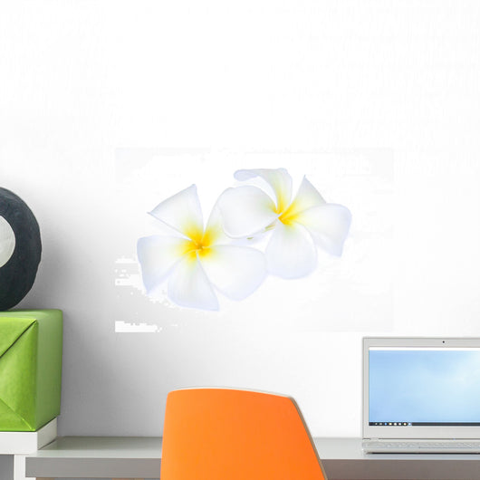 White Frangipani Flower Wall Decal