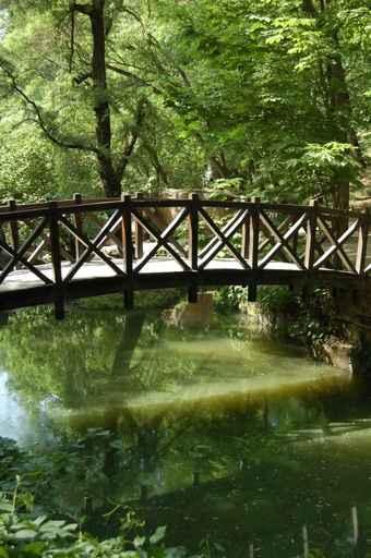 Footbridge through Stream Park Wall Decal