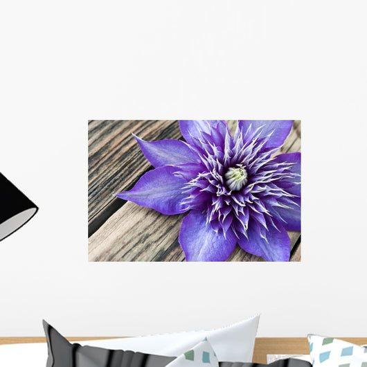 Clematis Multi Blue Close-up Wall Decal
