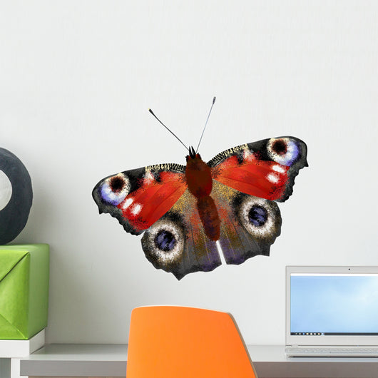 Illustration European Peacock Butterfly Wall Decal