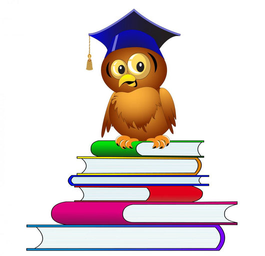 Owl Hat Sits Pile Wall Decal