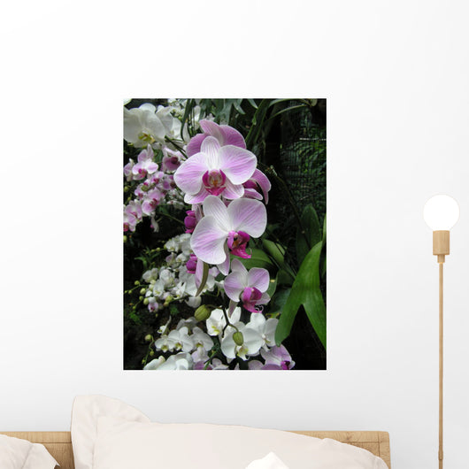 Pink Orchids Wall Decal
