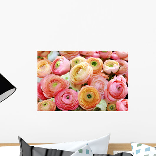 Colored Peonies Wall Decal