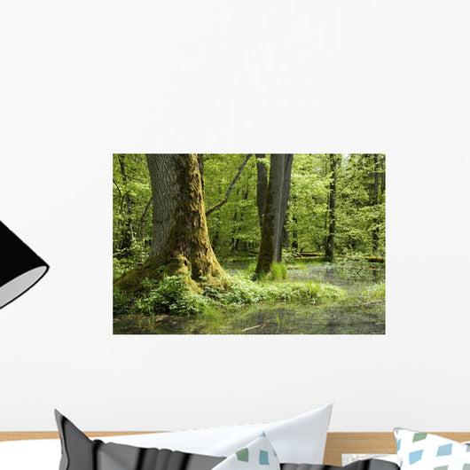 Oak Mossy Tree Wall Decal