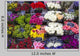 Selection Cut Flowers Market Wall Decal