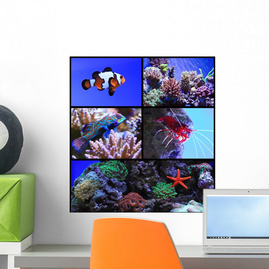 Tropical Exotic Fish Wall Decal