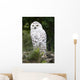 Snowy Owl Wall Decal