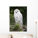 Snowy Owl Wall Decal