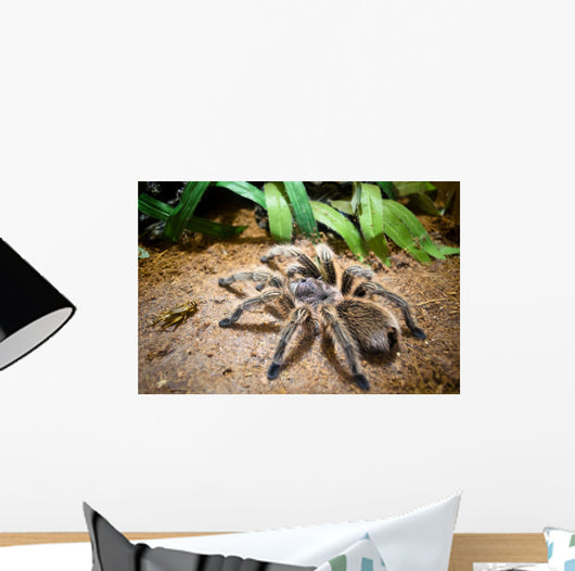 Tarantula Wall Decal