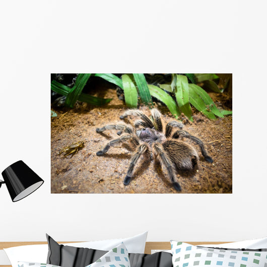 Tarantula Wall Decal