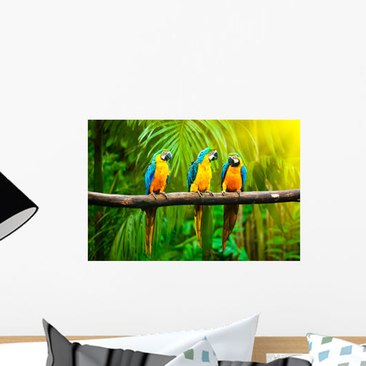 Blue-and-yellow Macaw Wall Decal