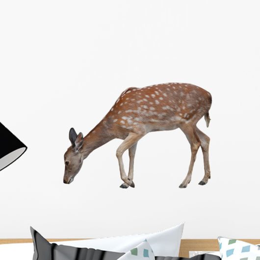 Whitetail Deer Fawn White Wall Decal