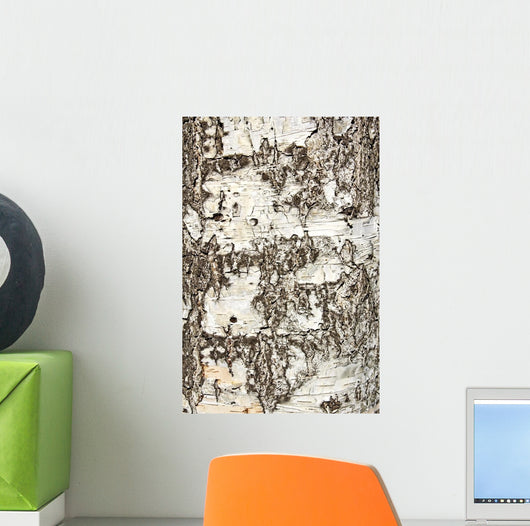 Birch Bark Wall Decal