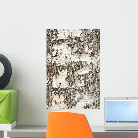 Birch Bark Wall Decal