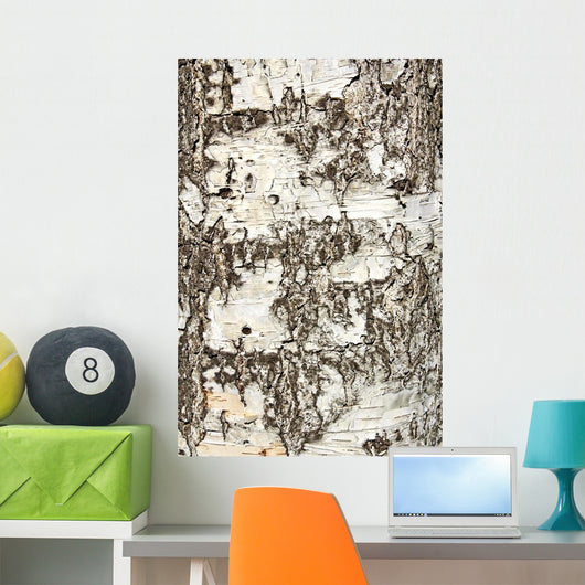 Birch Bark Wall Decal