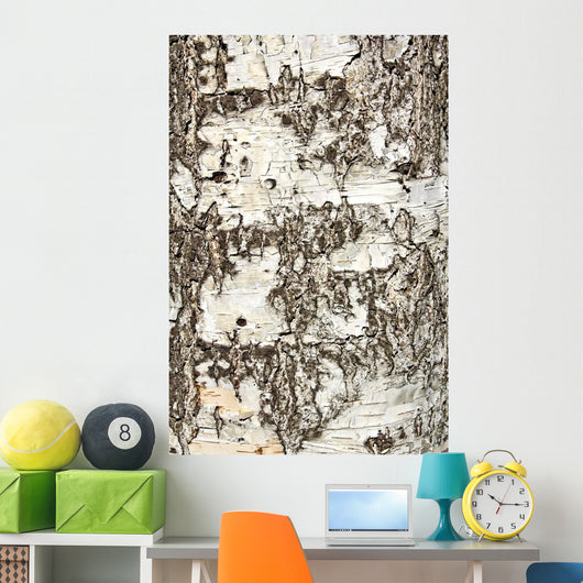 Birch Bark Wall Decal