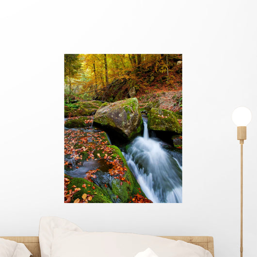 Mountain Stream Ukrainian Carpathians Wall Decal