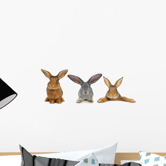 Brown Rabbit Wall Decal