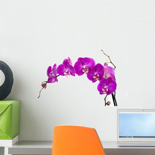 Purple Orchid Stem Wall Decal