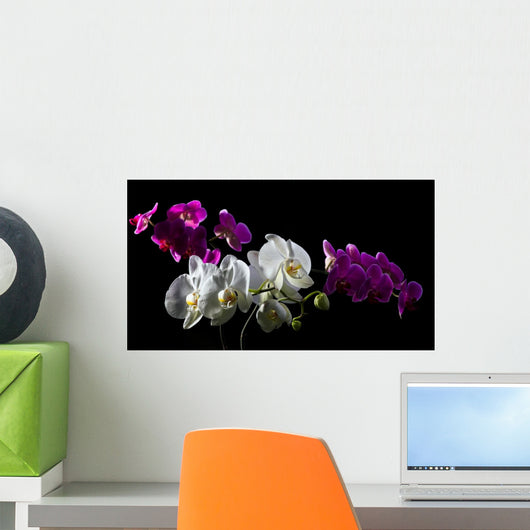 Purple and White Orchid Wall Decal