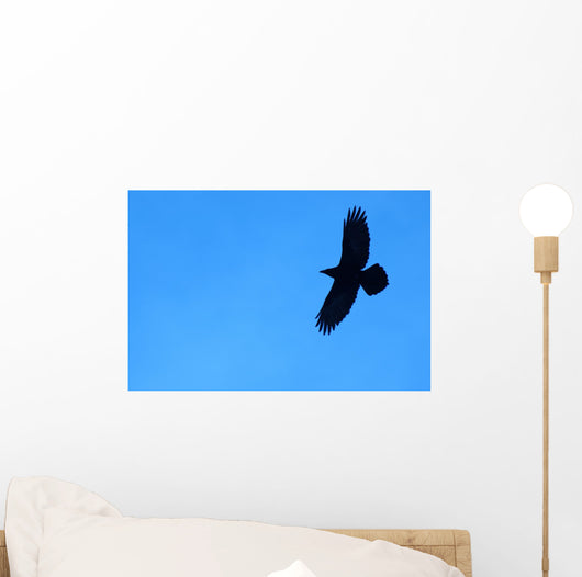 Lone Raven Wall Decal