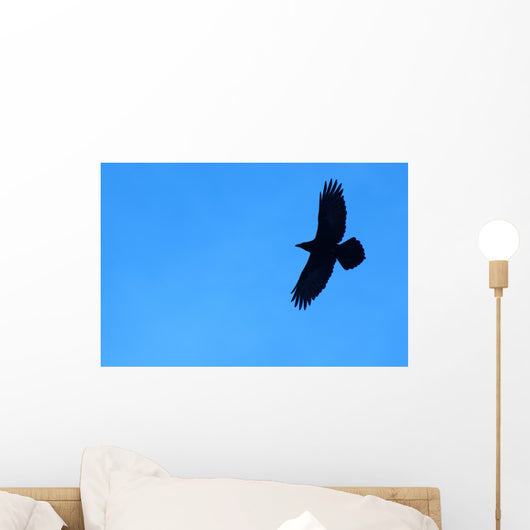 Lone Raven Wall Decal