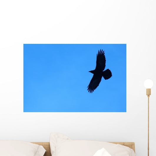 Lone Raven Wall Decal