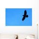 Lone Raven Wall Decal