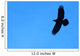Lone Raven Wall Decal