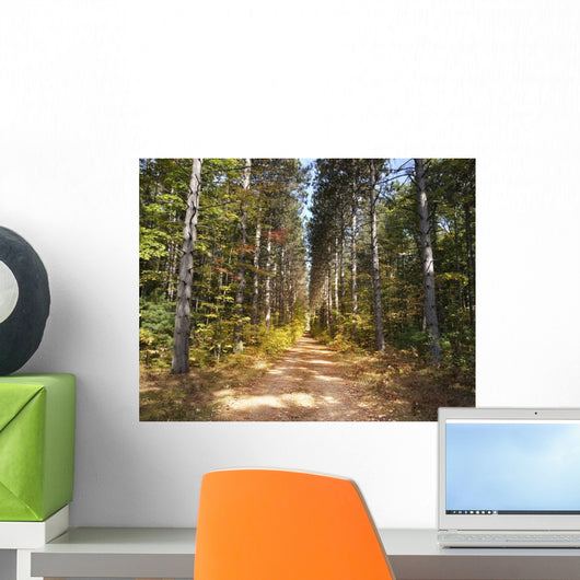 Path through Pine Trees Wall Decal